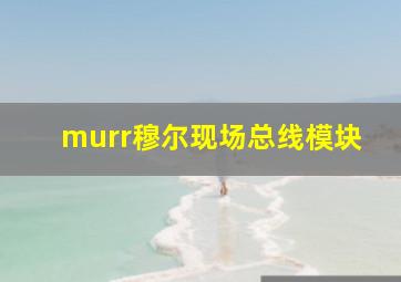 murr穆尔现场总线模块