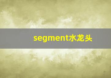 segment水龙头