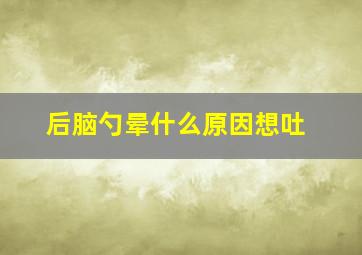 后脑勺晕什么原因想吐