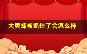 大黄蜂被抓住了会怎么样