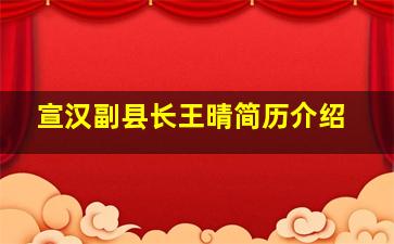 宣汉副县长王晴简历介绍