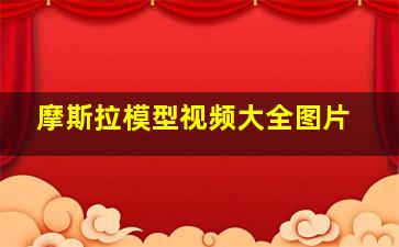 摩斯拉模型视频大全图片