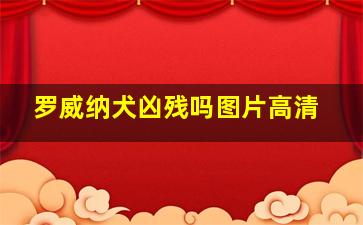 罗威纳犬凶残吗图片高清